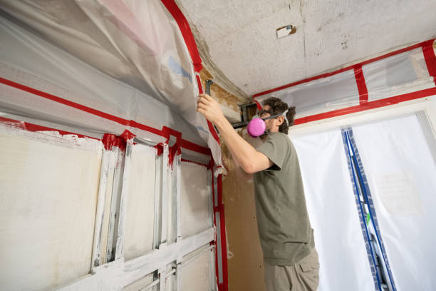 Best Water Damage & Mold Remediation  in Wickenburg, AZ
