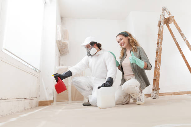 Best HVAC Mold Inspection and Cleaning  in Wickenburg, AZ