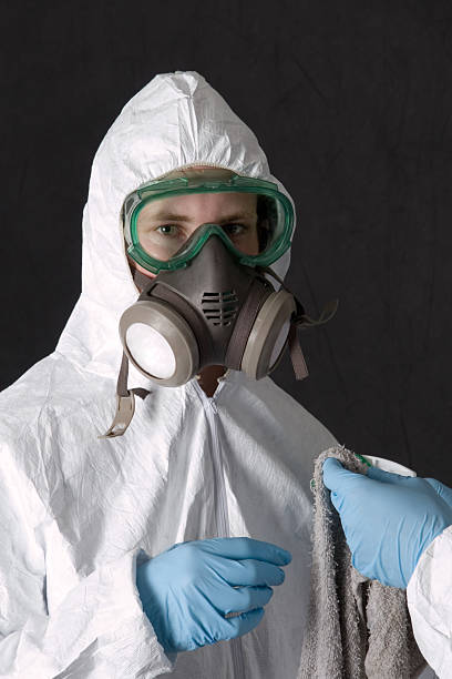 Mold Odor Removal Services in Wickenburg, AZ